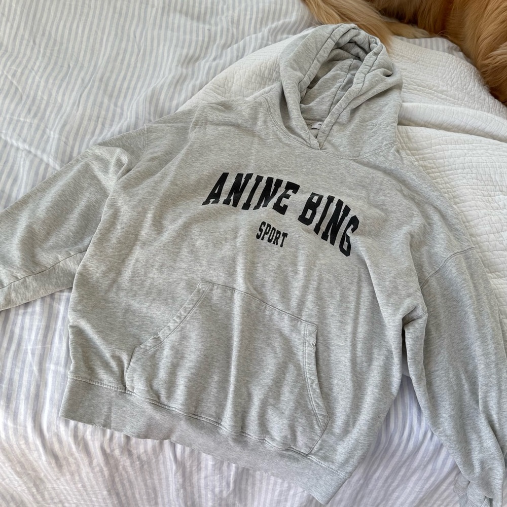 Anine Bing Light Gray Sport Hoodie